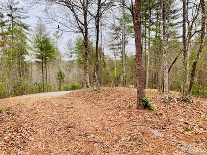 5 24 Acres Lot 87 Round Mountain Parkway
