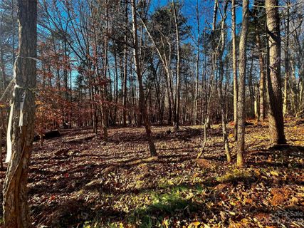 156 Copper Pine Lane active home in Copper Pine, Davidson, NC