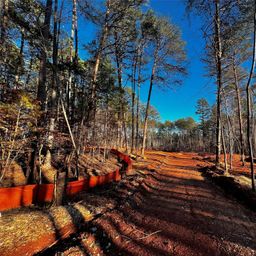 130 Hunt Camp Trail