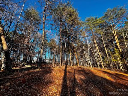 127 Hunt Camp Trail active home in Copper Pine, Davidson, NC