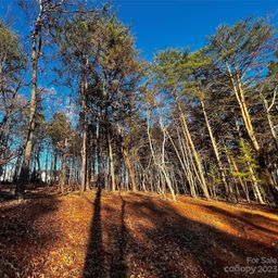 127 Hunt Camp Trail