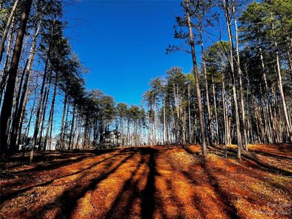 109 Hunt Camp Trail active home in Copper Pine, Davidson, NC
