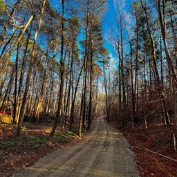 126 Hunt Camp Trail