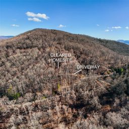 64 Flora Rose Trail