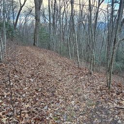 Lot 9 Seay Mountain Road