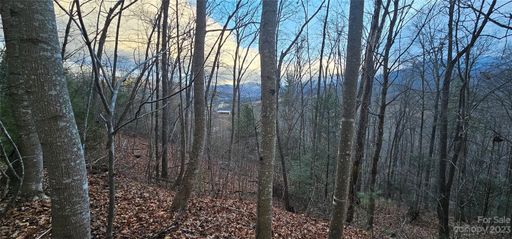 Lot 10 Seay Mountain Road active home in Seay Mountain, Waynesville, NC