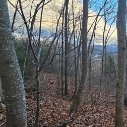 Lot 10 Seay Mountain Road