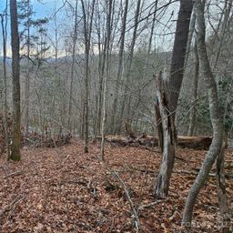 Lot 13 Seay Mountain Road