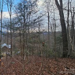 Lot 14 Seay Mountain Road