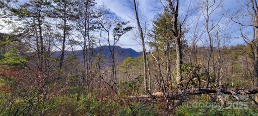 V L Chickasaw Way active home in Oconee Falls, Marion, NC