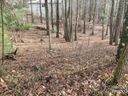 0 Summer Savory Court 66 sold home in Flat Rock, SC