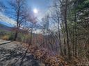 110 Curly Maple Drive 4 sold home in Canton, SC