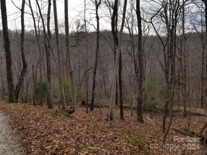 Lot 30 Bobcat Trail sold home in Rixhaven, Saluda, NC