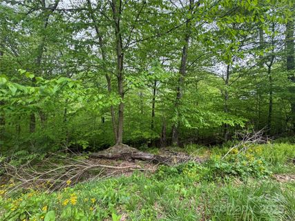 22 Zebulon Lane active home in Wolf Laurel, Mars Hill, NC