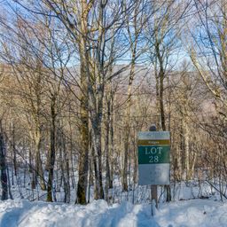 Lot 28 Black Bear Run