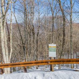 Lot 43 Black Bear Run