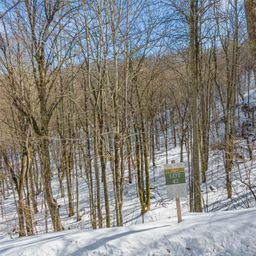 Lot 42 Black Bear Run