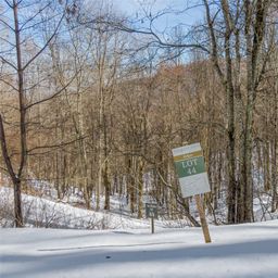 Lot 44 Black Bear Run