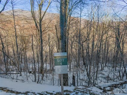 Lot 4 Mountain Gait Drive active home in The Preserve At Wolf Laurel, Mars Hill, NC
