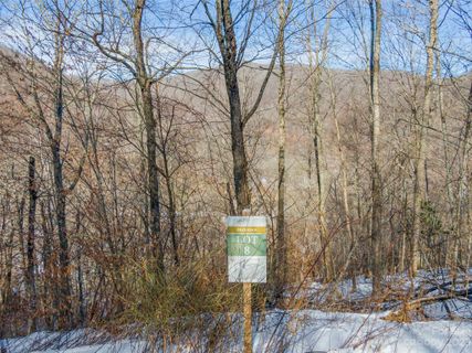Lot 8 Settlement Way active home in The Preserve At Wolf Laurel, Mars Hill, NC