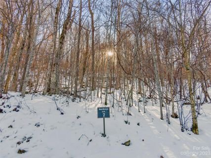 Lot 7 Hadleigh Pearl Way active home in The Preserve At Wolf Laurel, Mars Hill, NC