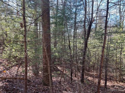 00 Willow Run Lane pending home in Hickory Run, Zirconia, NC