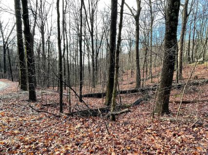 0 Hickory Acres Road 40 & 41 sold home in Hickory Acres, Hendersonville, NC