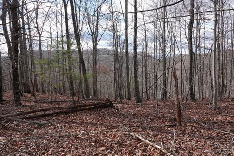 79 Longview Trail sold home in The Summit, Bostic, NC