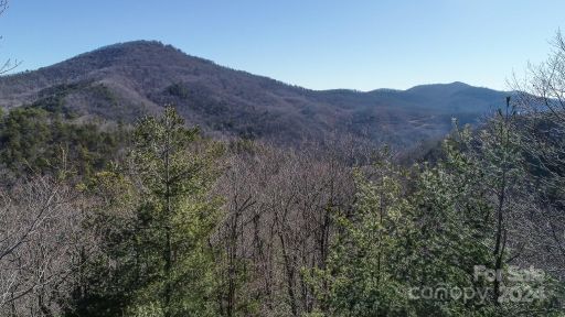 82 Davey Crockett Road sold home in Wildflower Ridge, Fairview, NC