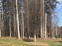 6208 Hollow Oak Drive 86 sold home in Mint Hill, SC
