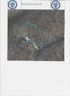 648 Rocky Cove Lane 21 sold home in Denton, SC