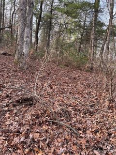 0 Wilmont Drive sold home in Woodlawn, Hendersonville, NC