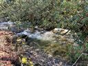 0 Timber Estates Road 5 sold home in Bryson City, SC