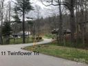 11 Twinflower Trail sold home in Asheville, SC