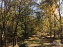 6001 Creola Road Lot B sold home in Charlotte, SC