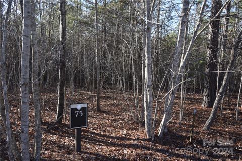Lot 75 Tayberry Drive active home in Blackberry Creek, Nebo, NC