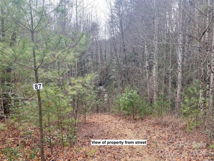 Lot 87 Peppervine Circle