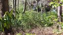 139 Golden Mist Court sold home in Sapphire, SC