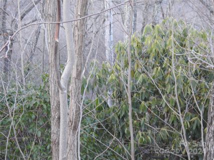 0 Rolling Ridge Trail sold home in GREY ROCK AT LAKE LURE, Lake Lure, NC