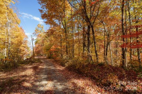 99999 Chestnut Drive sold home in Meadow View Estates, Leicester, NC