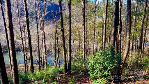 4 6 Acres Lots 126a 127a Sunset Creek Lane 126A & 127A
