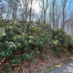 111 Deer Run Lane