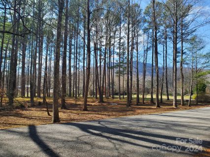 0 Fox Briar Drive 4 sold home in Meadowbrook Farms, Columbus, NC