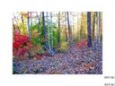 Lot 24 Bethshire Lane sold home in Denver, SC