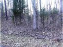 239 Lamplighter Lane sold home in Mount Holly, SC