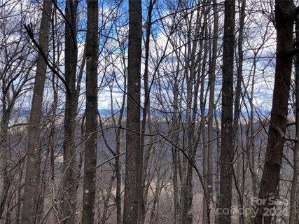 Tbd Bobcat Mountain Road 21