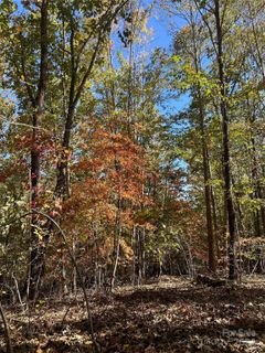 0 Luckadoo Mountain Road 171