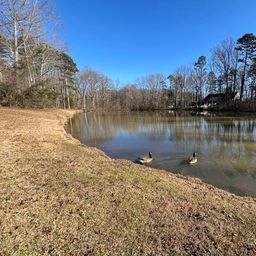 7100 Ridge Lane Road