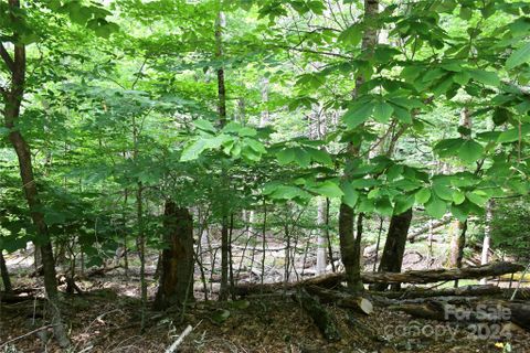 102 Blackberry Trail 235/C sold home in Charter Hills, Beech Mountain, NC