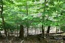 102 Blackberry Trail 235/C sold home in Beech Mountain, SC
